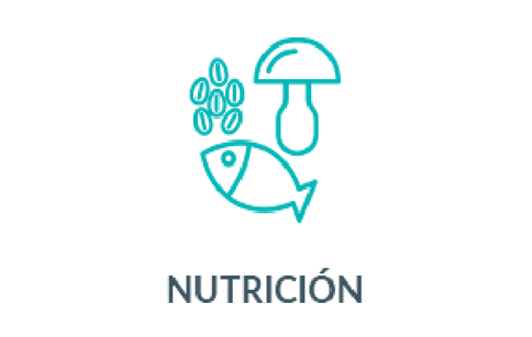 nutricion-moleculare