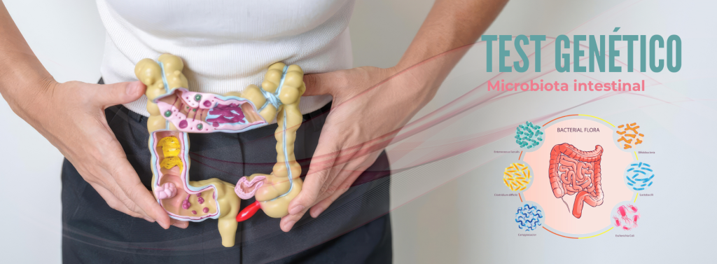 Test genético Microbiota Intestinal