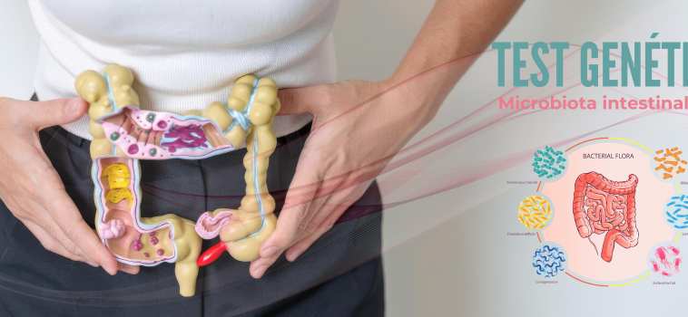 Test genético Microbiota Intestinal