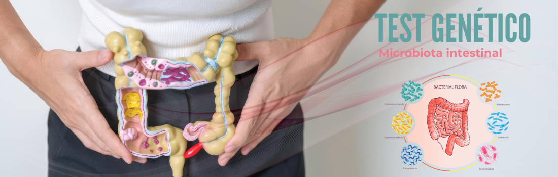 Test genético Microbiota Intestinal