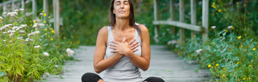 Programa Ayurveda «Autoconocimiento»