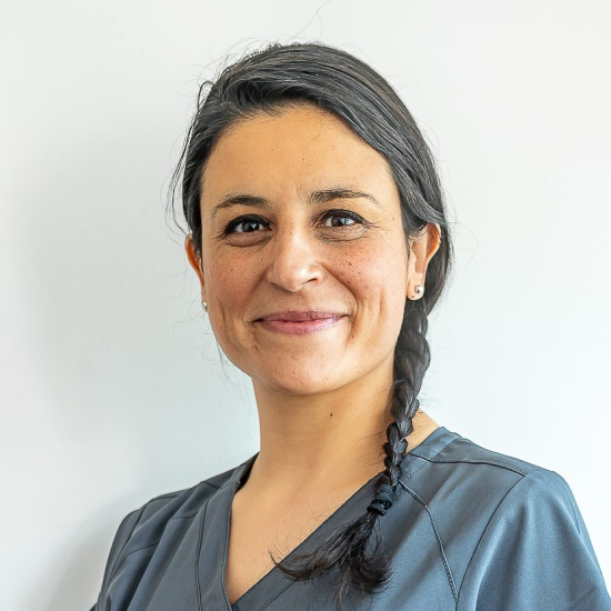 Karen Villalón Olmos.
